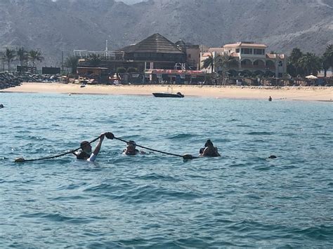 Snoopy Island (Fujairah) - 2020 What to Know Before You Go (with Photos ...