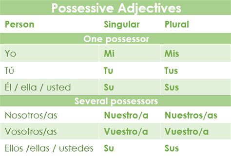 Possessive Adjectives in Spanish - Spanish Via Skype