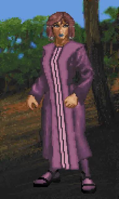 Image result for Daggerfall Unity Breton