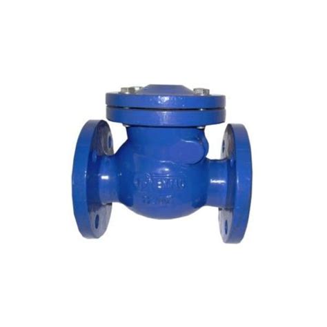 Cast Iron Check Valve Ductile PN16