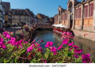 ALSA Bus 的图像结果