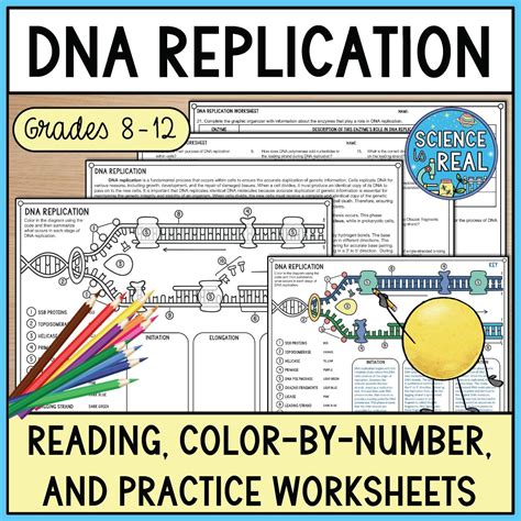 DNA Replication Amoeba Sisters Video Handout - Science is Real Education