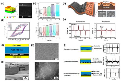 Recent Structure Development of Poly(vinylidene fluoride)-Based ...