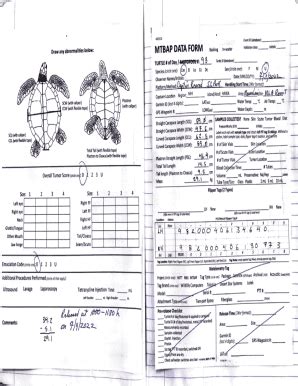 Fillable Online stackoverflow.comquestions5803472select - SQL WHERE ID ...