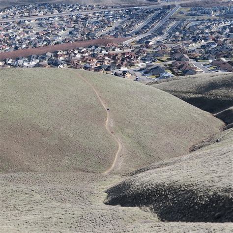 Badger Mountain - Canyon Trail — Washington Trails Association