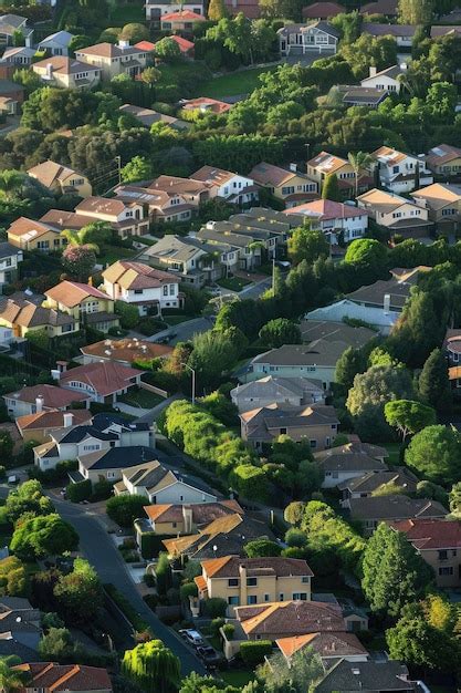 Local Community 的图像结果