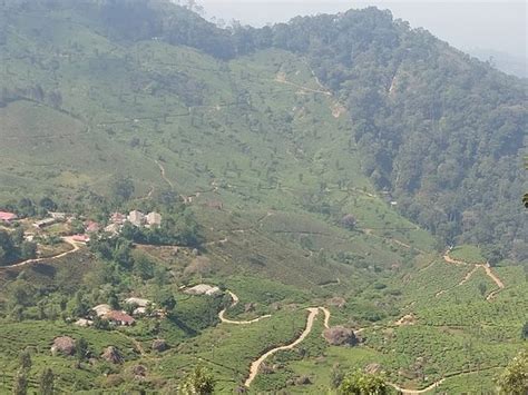 Cabs Club - Kerala Taxi - Kochi (Cochin) | Tripadvisor