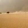 TASSILI N'AJJER NATIONAL PARK (2026) All You Need to Know BEFORE You Go ...