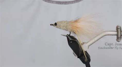 Snook Fly Patterns 的图像结果