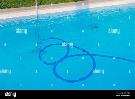 Using a Pool Vacuum 的图像结果