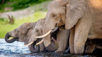 Heart-warming 22 Days Victoria Falls to Namibia Tour Package | cape ...