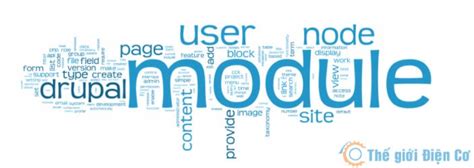 Image result for Module Trong Basic SW