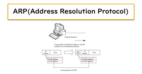 Image result for ARP Opcode