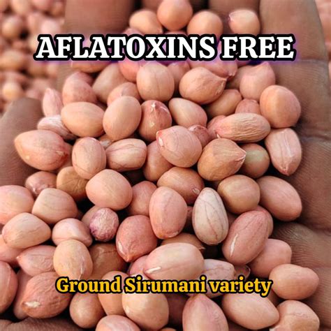 Groundnuts Sirumani ORGANIC (500 G) – Goodness Farm