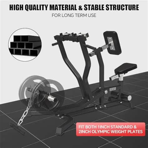 Image result for Seated Back Workout Machine