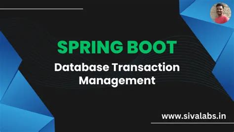 Spring Boot Transaction Management 的图像结果