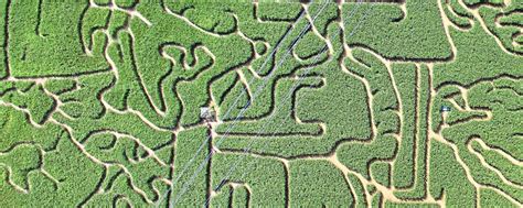 Maislabyrinth als Betriebszweig | agrarheute.com