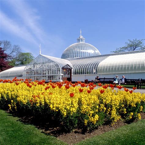 Are Dogs Allowed In Botanic Gardens Glasgow