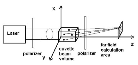 Computer Simulate 的图像结果