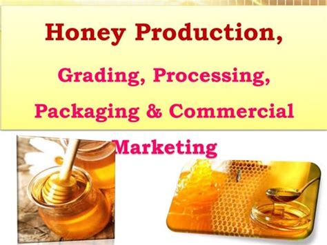 Image result for Basic Honey Processing