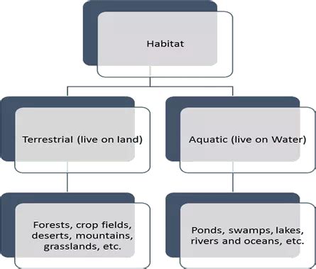 Adaptations in Plants Class 4 Notes Science Free PDF