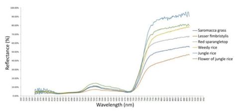 Mobile Computing for Pest and Disease Management Using Spectral ...