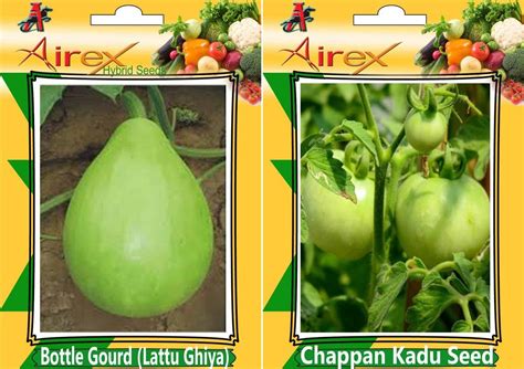 Bottle Gourd (Lattu Ghiya) and Chappan Kaddu Seed (Pack of 25 Seed ...