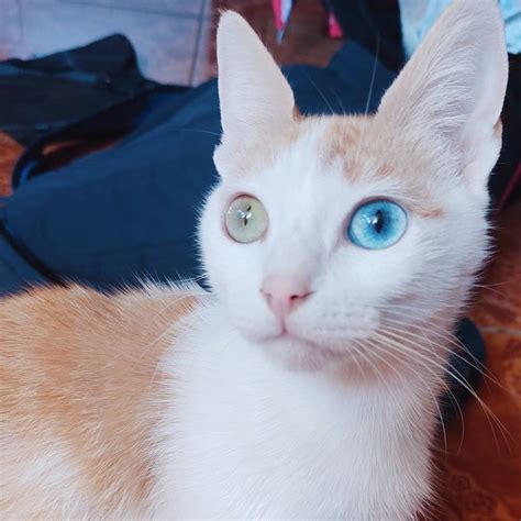 Andrea Paz | A quien habrá salido tan bella mi hija 😻😘 | Instagram