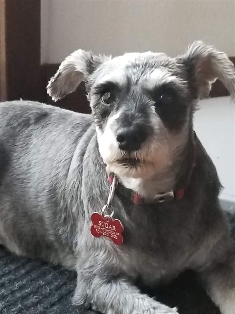 MISSOURI VALLEY VET - COMMERCE - Bismarck ND - Hours, Directions ...