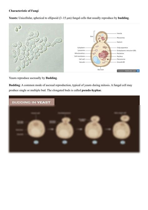 SOLUTION: Introduction classification morphology and characteristic of fungi - Studypool