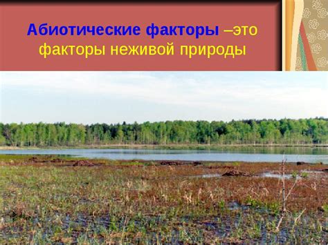 Экологические факторы. Условия среды