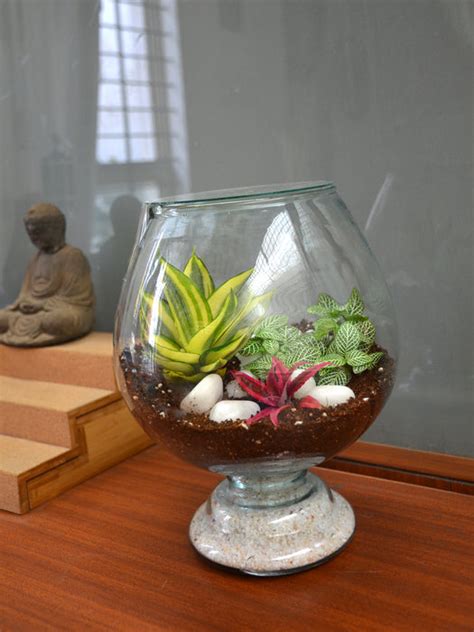 Wine Goblet Closed Terrarium (10 Inches) — Mudfingers