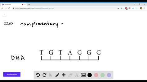 Image result for DNA Complementary Strand Drawing