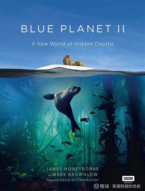 BBC Socumentry 的图像结果