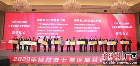 桂林七星区表彰一批优秀企业 推动服务业高质量发展--中新网广西新闻