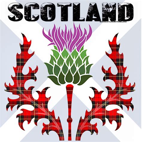 Pin by Sean Porch on Scotland the Brave | Scottish castles, Scotland ...