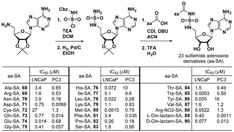 Recent Development of Aminoacyl-tRNA Synthetase Inhibitors for Human ...