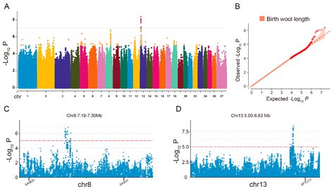 Genome-Wide Association Study of Birth Wool Length, Birth Weight, and ...
