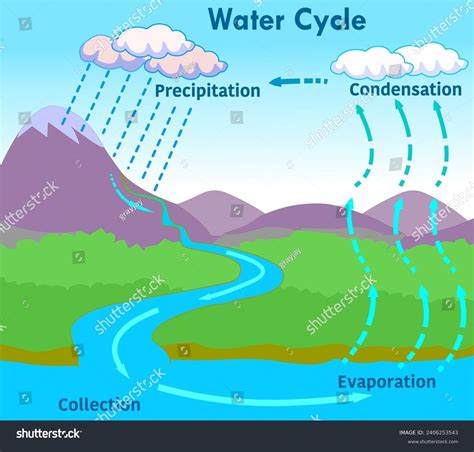 192 Water Changes State Water Cycle Images, Stock Photos, 3D objects ...