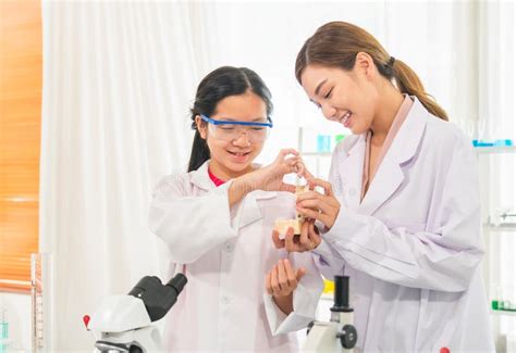 Science Class Elementary School 的图像结果