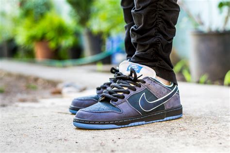 [WDYWT] Nike Dunk Low SB Blue Lobster : r/Sneakers