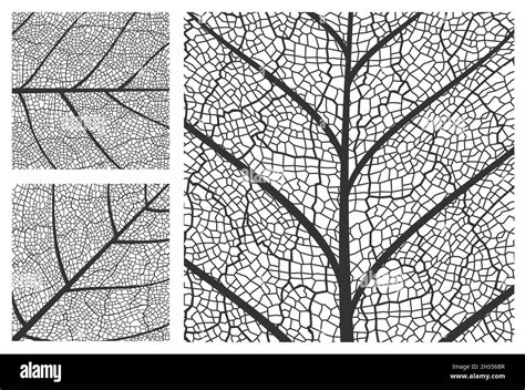 Image result for Tree Leaf Pattern