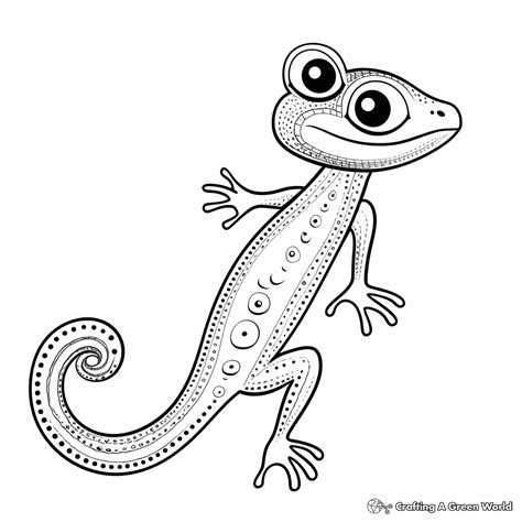 Gecko Coloring Pages - Free & Printable!