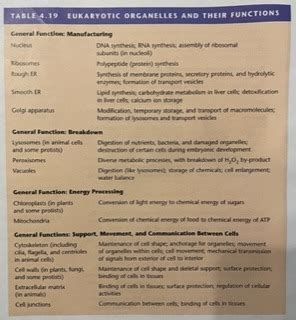 Image result for Bio Chapter 4 Quiz