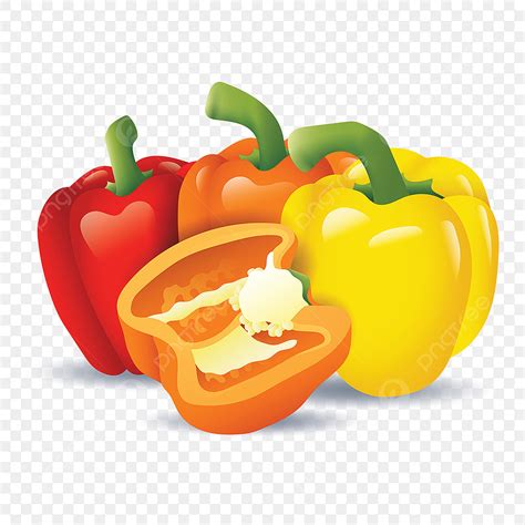 Bell Pepper Clipart PNG Images, Three Different Colored Sweet Bell ...