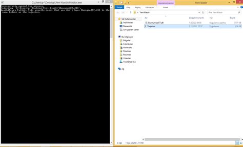 Image result for LoadLibrary Injector Download
