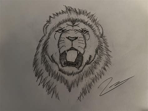 Easy Lion Drawing Lion Drawing How To Draw A Lion Step By Step