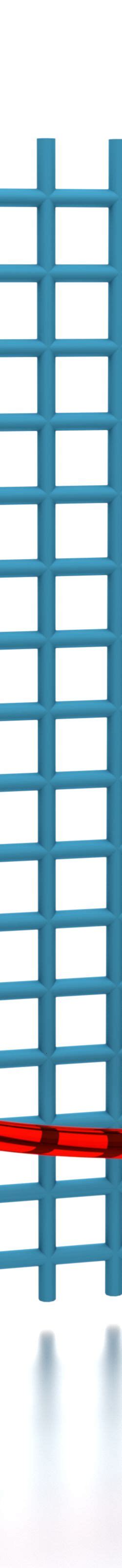 Exponential Decay 的图像结果