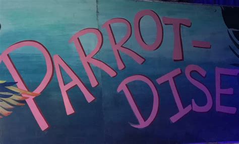 Pursey Kerns at Blue Parrot, Blue Parrot Grill, Denver, 19 August 2023 ...