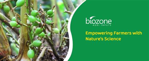 Biozone Agri Inputs | Sustainable Agricultural Solutions in Kerala